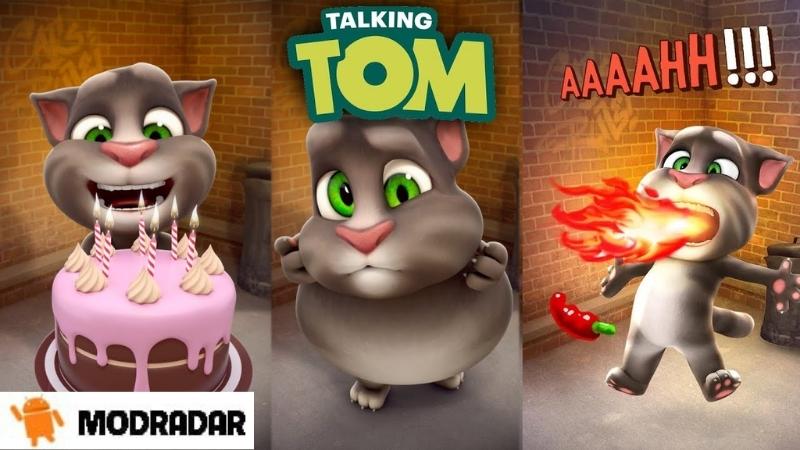 Jogar Talking Tom Cat 4 - Jogue Talking Tom Cat 4 no UgameZone.com.