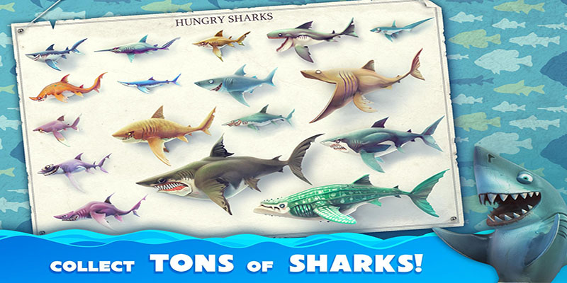 Collect Different Shark Species